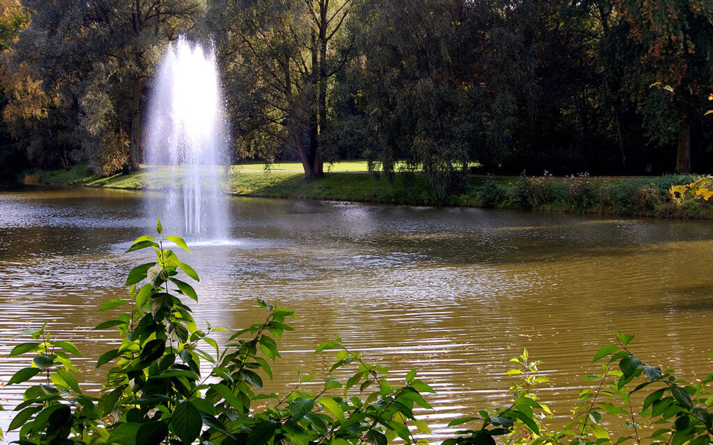 How does a musical fountain work?