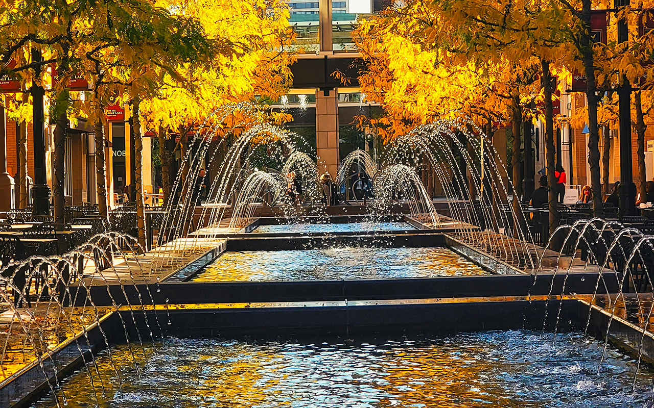 What are the features of Himalaya Fountain’s control software?