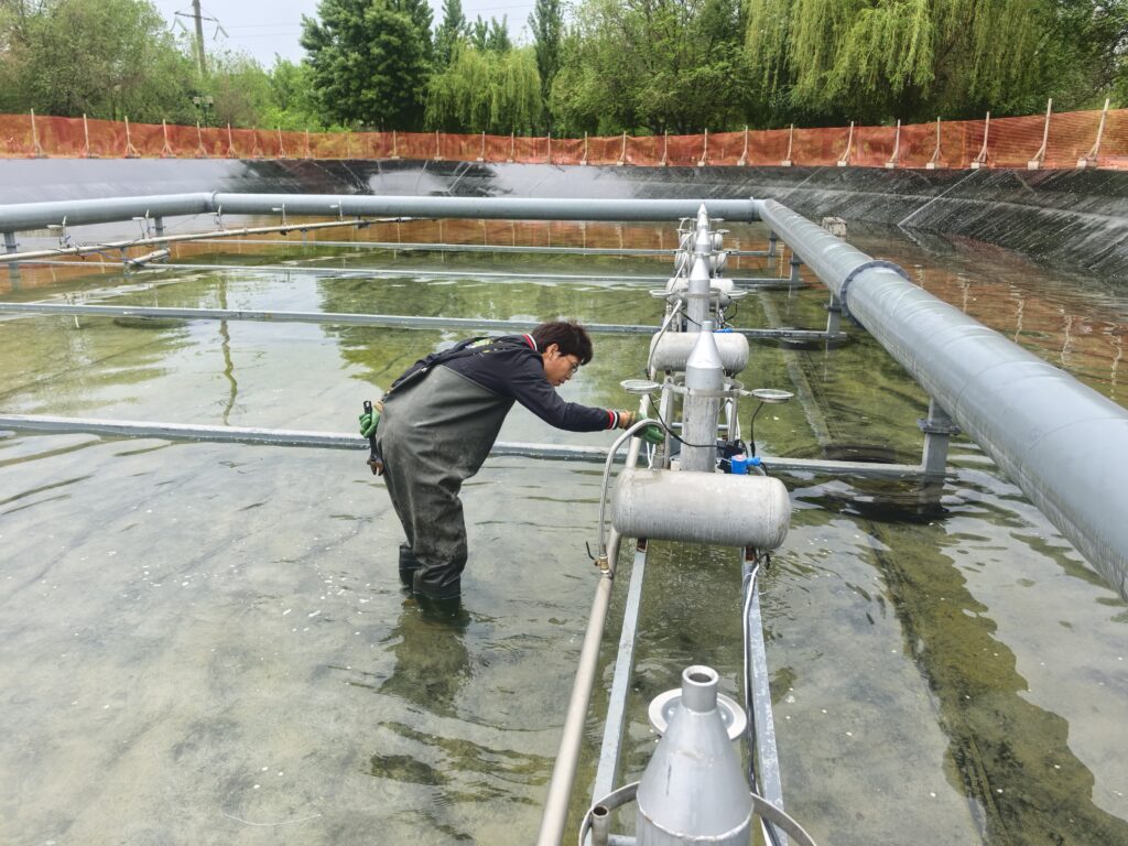 fountain maintenance